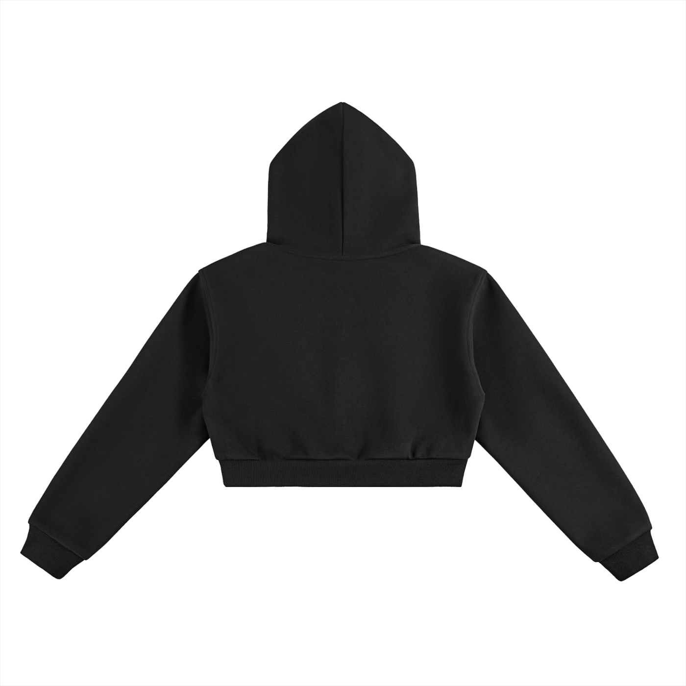 "What beauty is this?" Cropped Hoodie