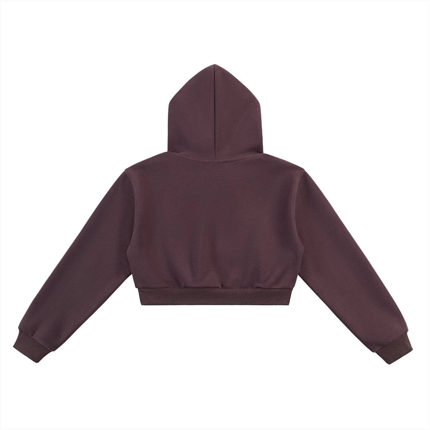 "What beauty is this?" Cropped Hoodie
