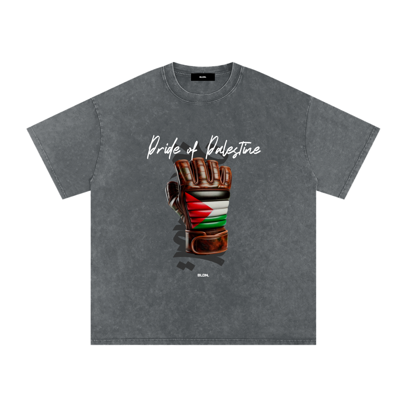 Pride of Palestine Front Flag tee - UFC 321 Edition