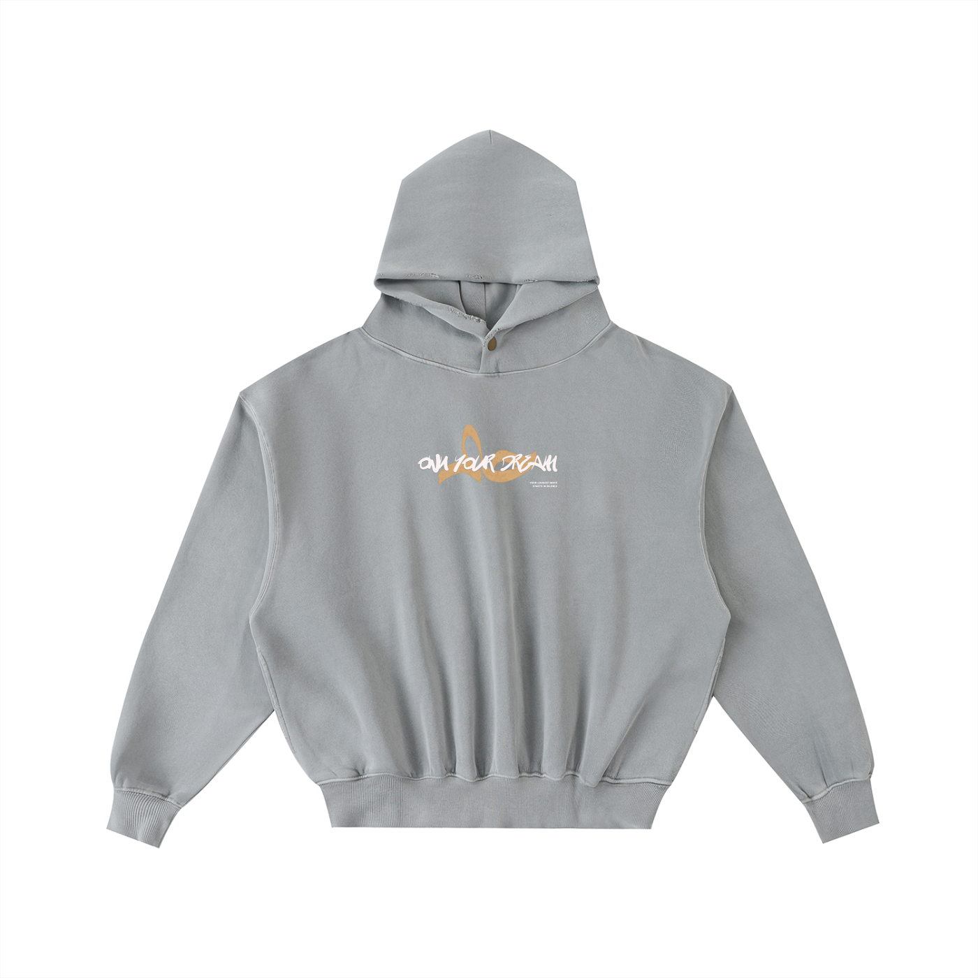 Own Your Dream Hoodie
