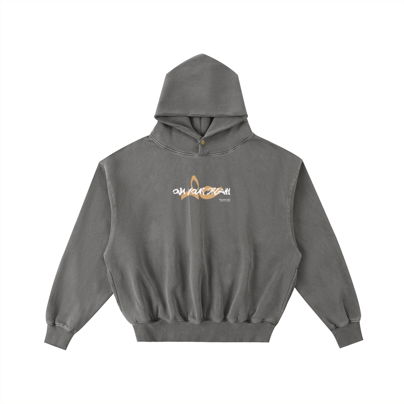 Own Your Dream Hoodie