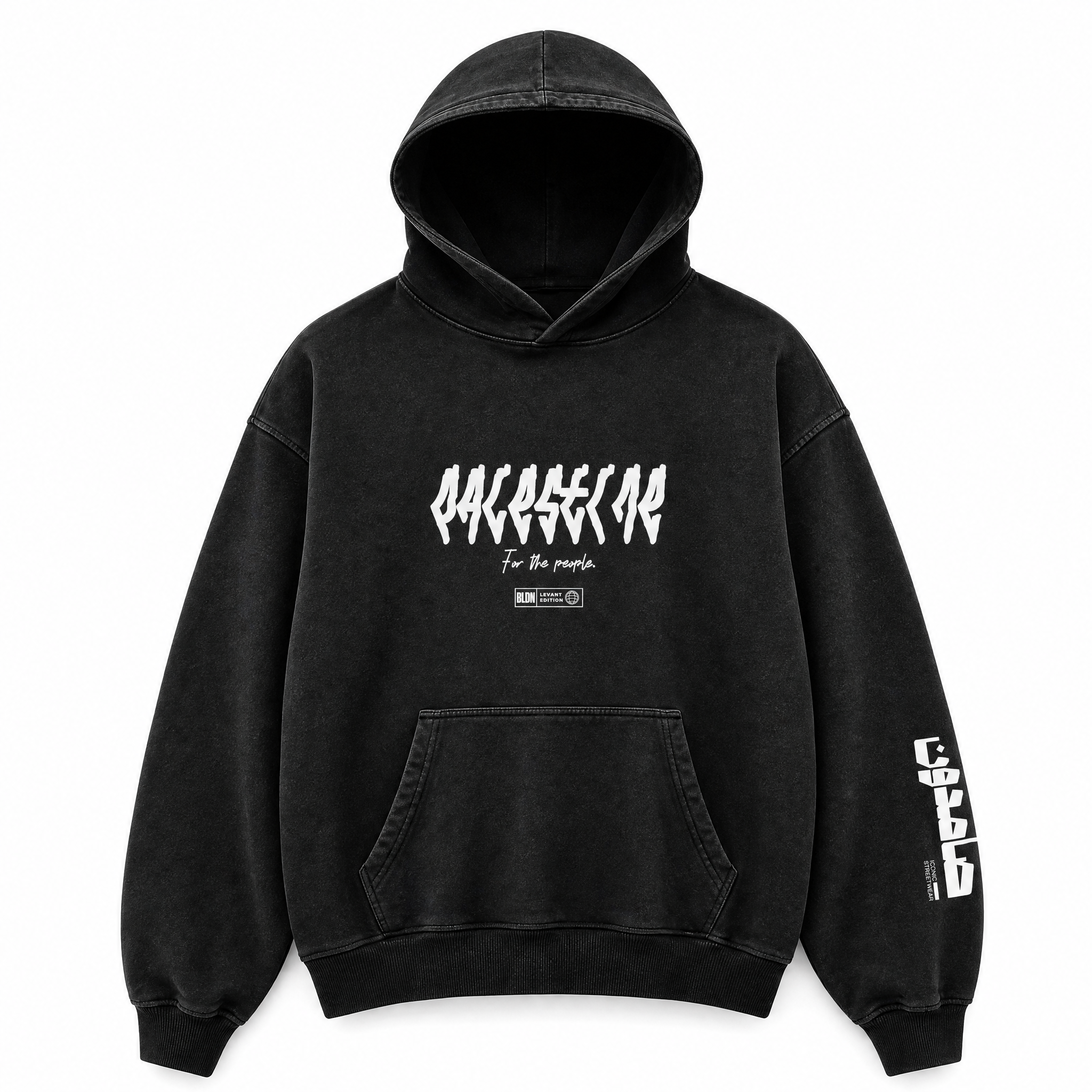 Palestine map vinyl lettering hoodie