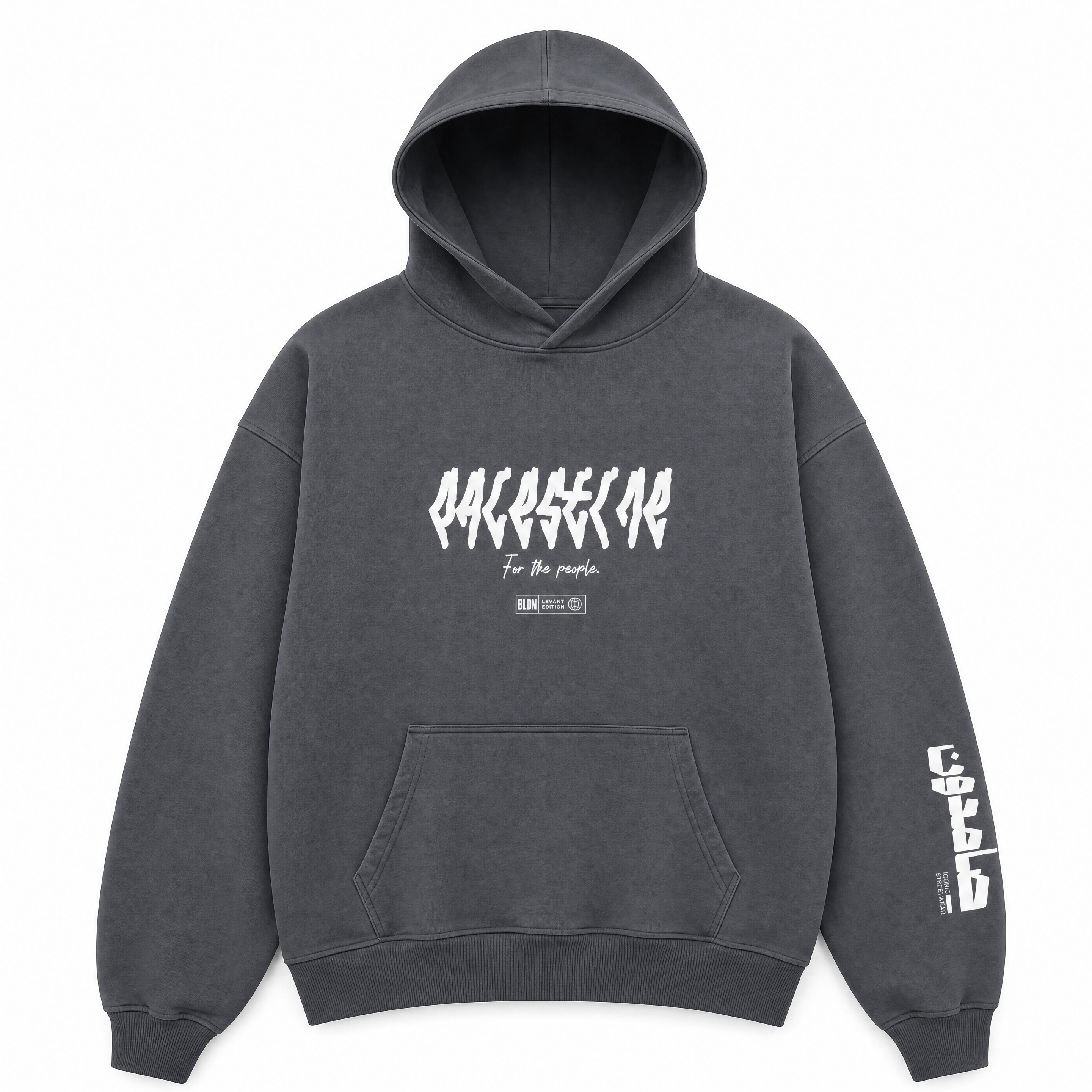 Palestine map vinyl lettering hoodie