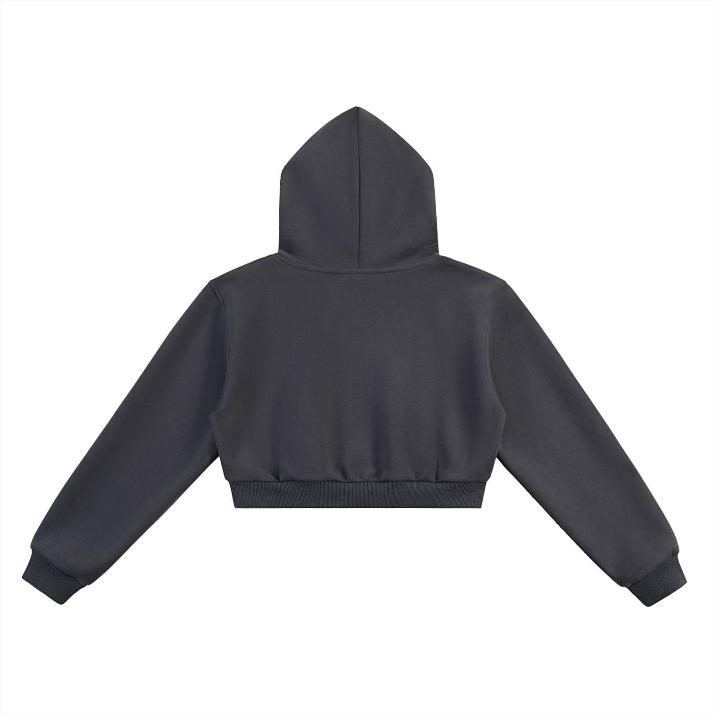 "What beauty is this?" Cropped Hoodie