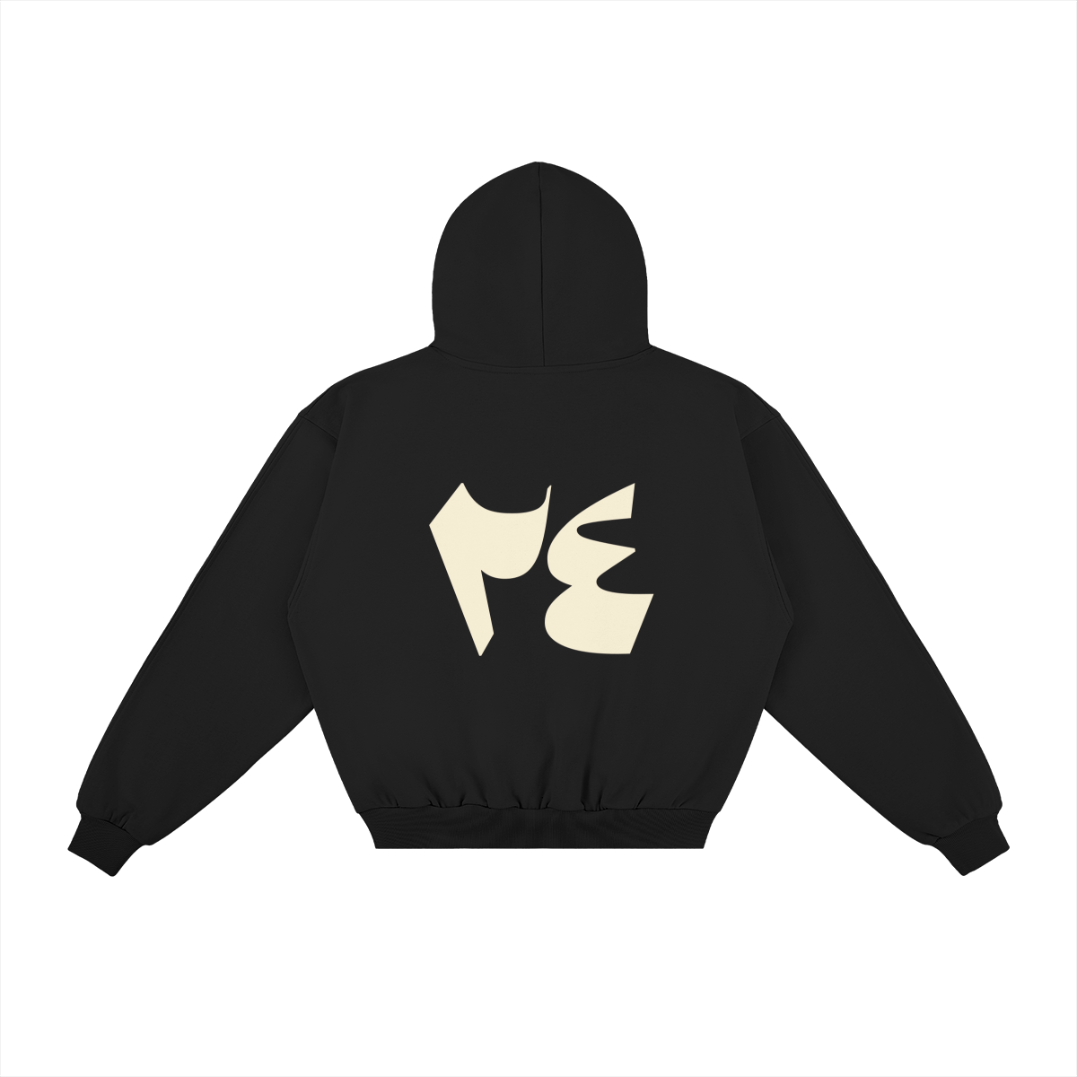 0-YIV-Back Side