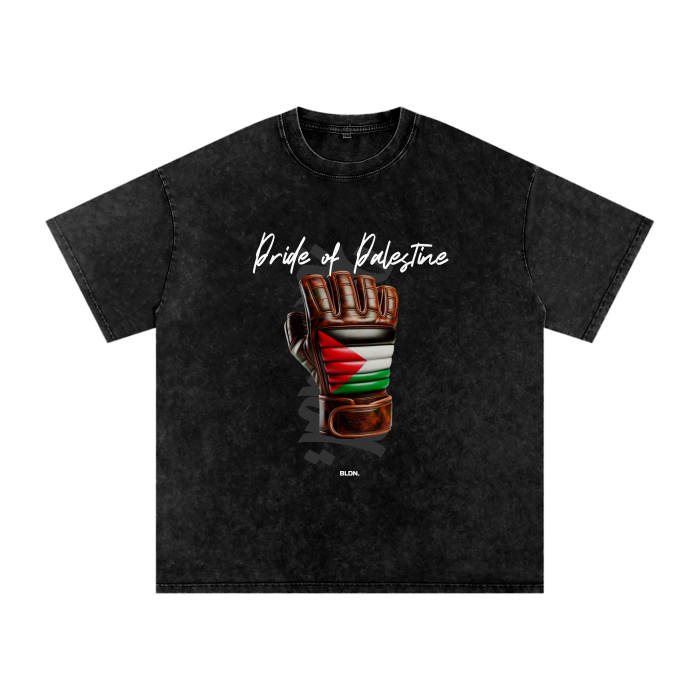 Pride of Palestine Front Flag tee - UFC 321 Edition