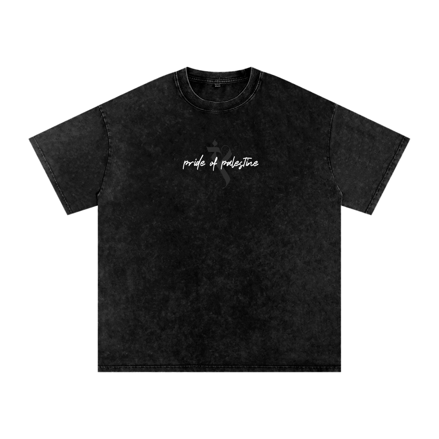 Pride of Palestine Flag tee - UFC 321 Edition