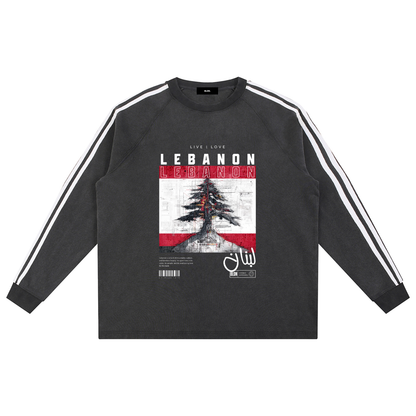 Lebanon snow washed sweatshirt