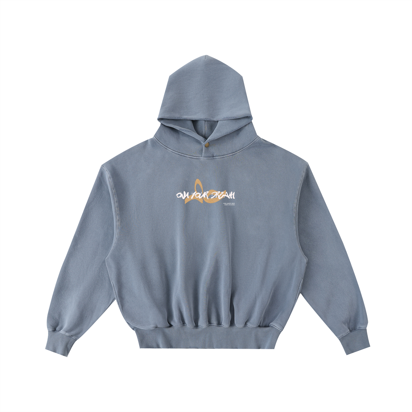 Own Your Dream Hoodie