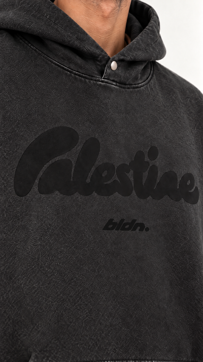 Palestine boxy hoodie / olive branch on the back
