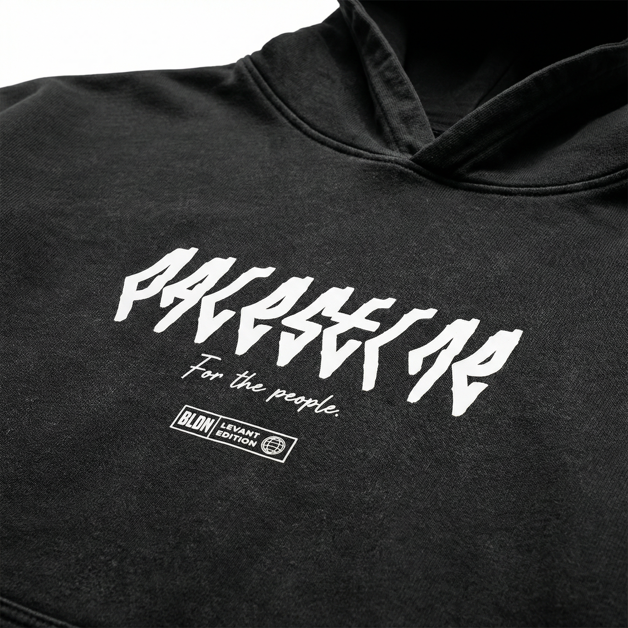 Palestine map vinyl lettering hoodie