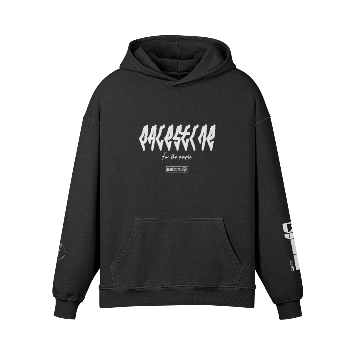 Palestine map vinyl lettering hoodie