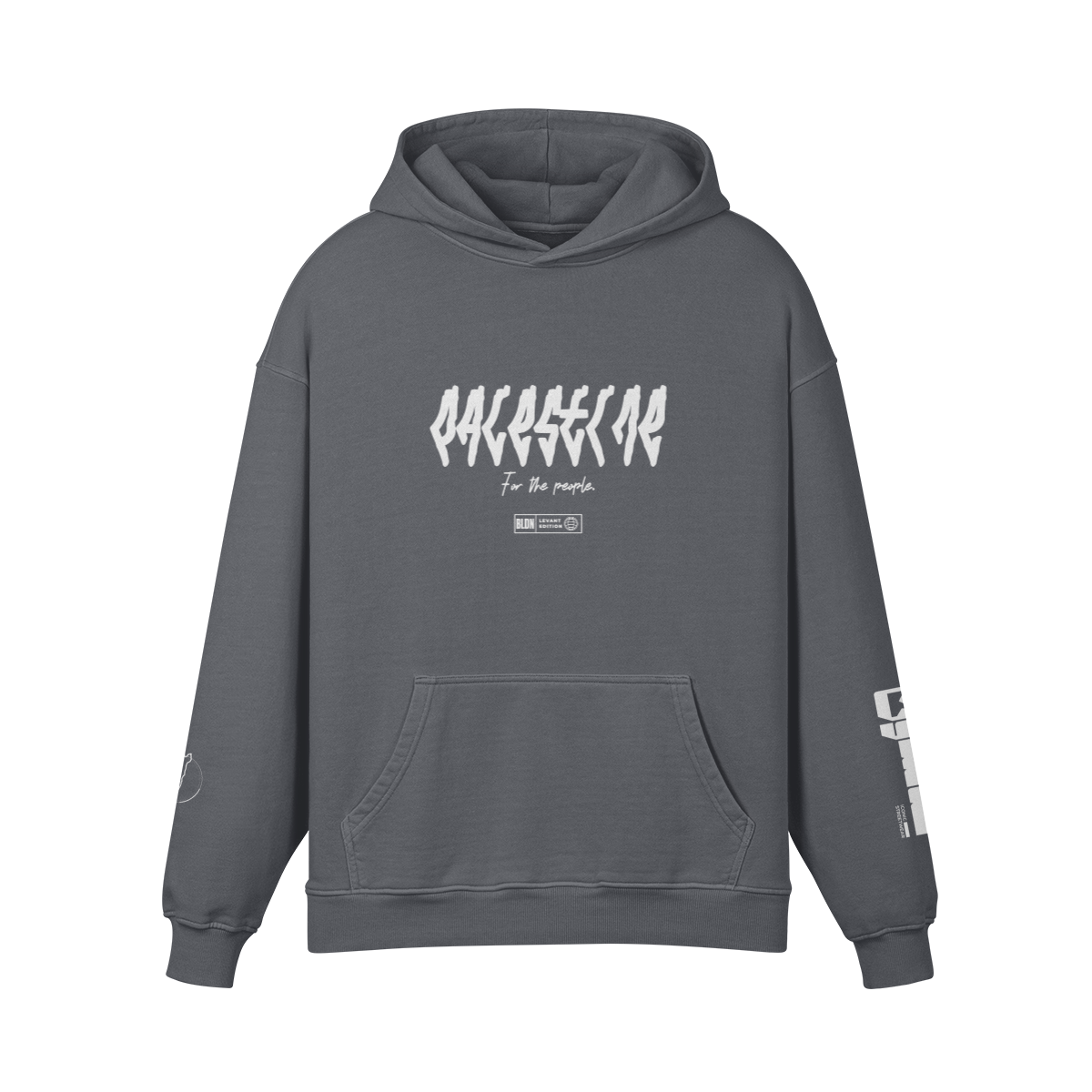 Palestine map vinyl lettering hoodie