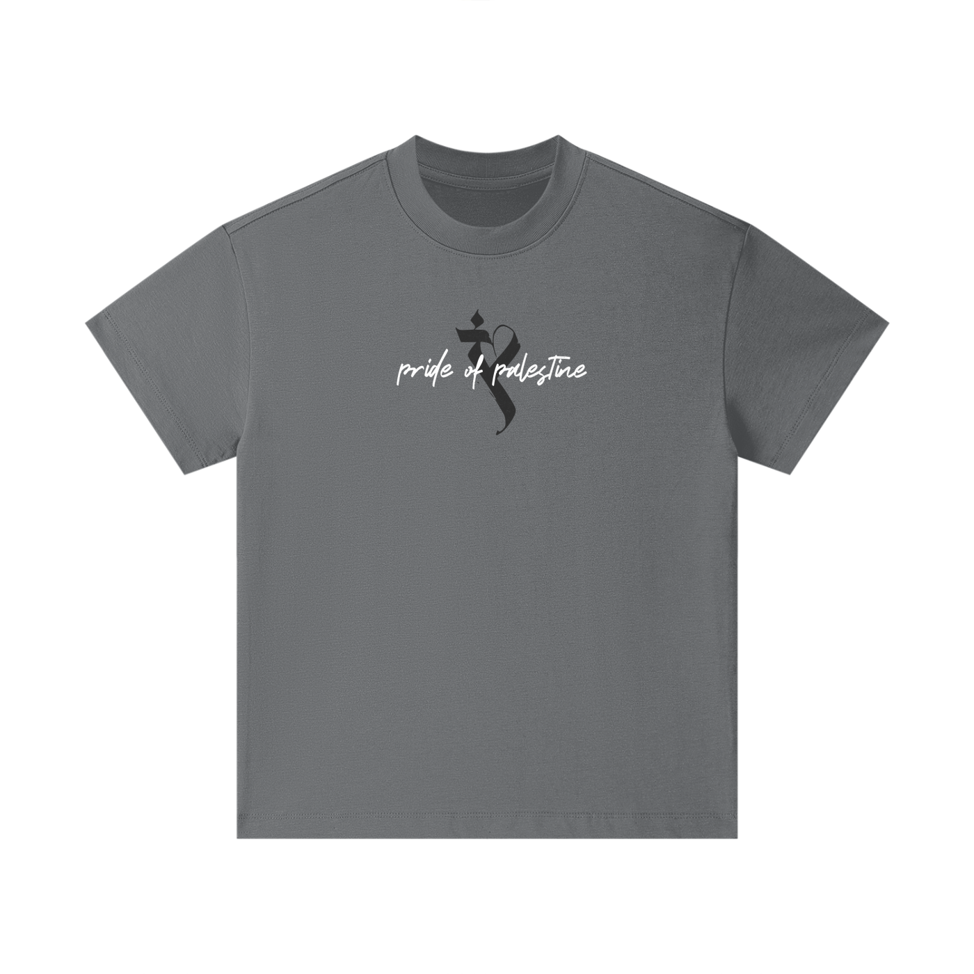 Pride of Palestine kids t-shirt