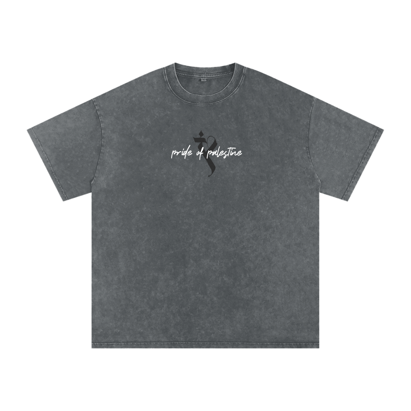 Pride of Palestine Flag tee - UFC 321 Edition